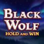 Black Wolf: Hold and Win