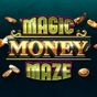 Magic Money Maze