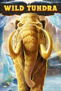 Wild Tundra